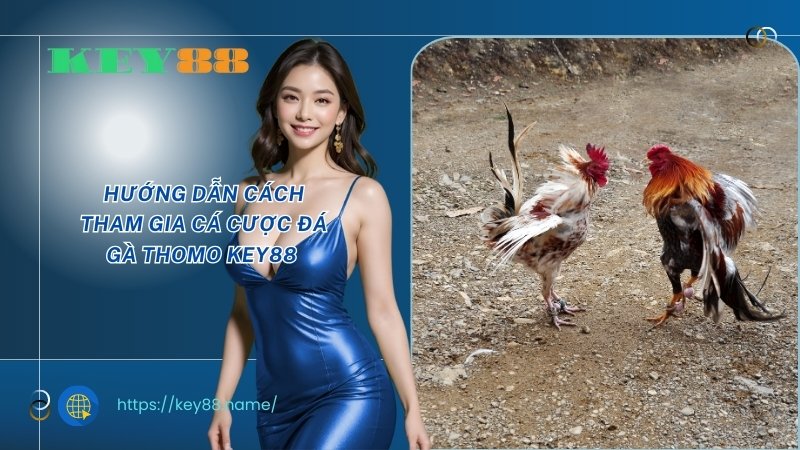 Hướng dẫn cách tham gia cá cược đá gà Thomo KEY88 Hướng dẫn cách tham gia cá cược đá gà Thomo KEY88