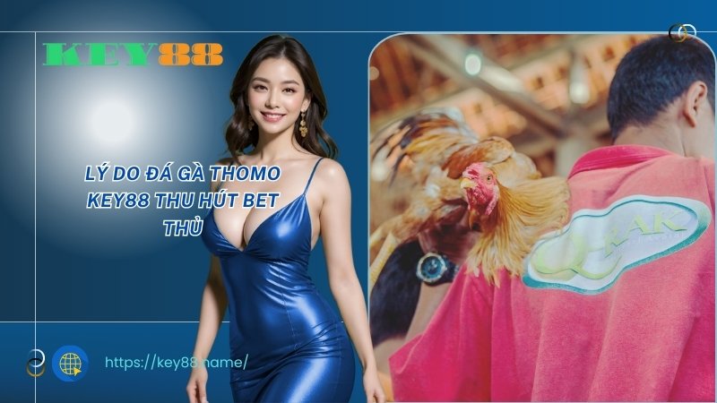 Lý do đá gà Thomo KEY88 thu hút bet thủ Lý do đá gà Thomo KEY88 thu hút bet thủ